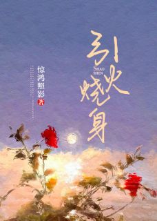 《引火烧身》小说章节列表精彩阅读 苏轻霍长川小说全文