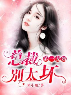《总裁别太坏》穆景天夏紫曦小说精彩章节免费试读