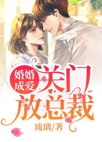 《婚婚成爱：关门，放总裁》小说大结局免费阅读 白梦沁陆莫宸小说阅读