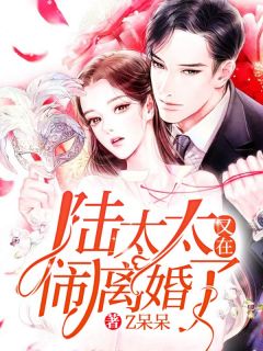 主角是沈初染陆北司的小说 《陆太太又在闹离婚了》 全文免费阅读