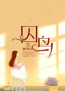 《一只无处可逃的鸟》小说全文在线试读 叶青席南尧小说全文