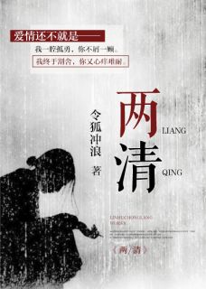 《两清》小说章节目录免费试读 钟岭路战小说阅读
