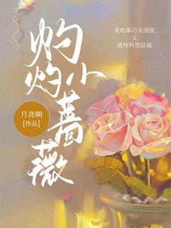 《灼灼小蔷薇》小说全文精彩阅读 《灼灼小蔷薇》最新章节目录