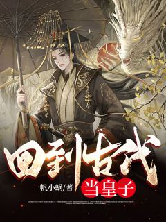 回到古代当皇子免费阅读 叶凌傅元元的小说免费试读