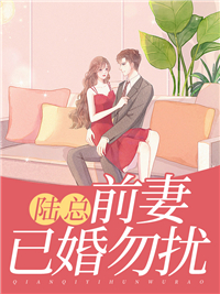 主角是苏伊人陆云霆的小说 《陆总，前妻已婚勿扰》 全文在线试读