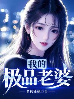《我的极品老婆》李不凡苏倾城小说最新章节目录及全文完整版