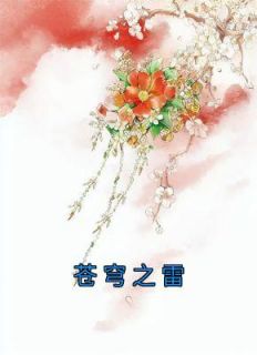 《苍穹之雷》姬蘅青渊完结版免费阅读
