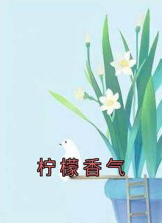 《柠檬香气》小说完结版免费阅读 陆铮阿辞小说全文