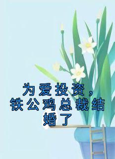 《为爱投资，铁公鸡总裁结婚了》小说完结版免费试读 林久柒司少谦小说全文
