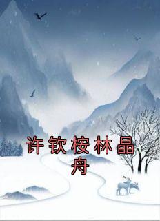 《许钦桉林晶舟》小说在线试读 《许钦桉林晶舟》最新章节列表