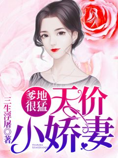 《闪婚厚爱：总裁宠妻NO.1》小说完结版精彩试读 苏北路南小说全文