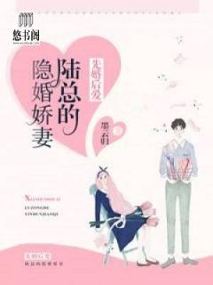 《陆总的隐婚娇妻》小说章节列表在线阅读 傅小瑶陆寒川小说全文