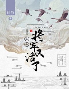 我情不抵将军心全章节免费在线阅读 夏若雪苏衍小说完结版