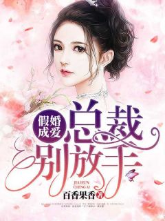 主角是江子恩战霆琛的小说 《假婚成爱：总裁别放手》 全文免费试读